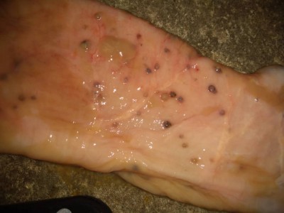 WhatsApp Image 2020-11-15 at 19.11.04.jpeg