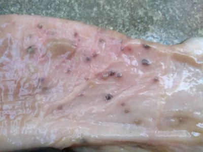 WhatsApp Image 2020-11-15 at 19.11.03 (1).jpeg